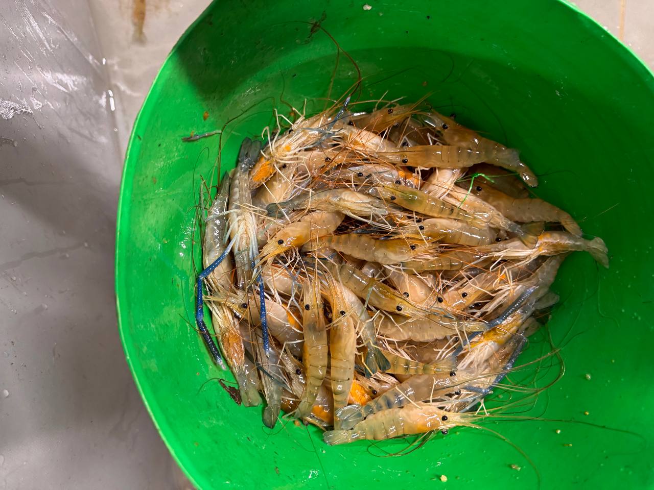 Гарантований викуп продукції